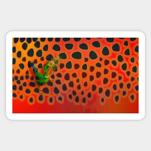 May Fly & Brown Trout Orange Gold Camo Sticker